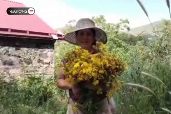 Утро рабочего дня Кристины из Эрмона начинается на цветущих полях Вайоц Дзора