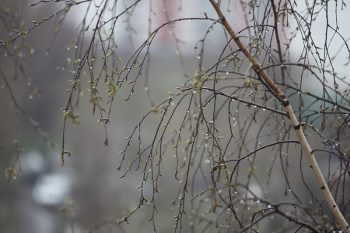 Погода в Армении