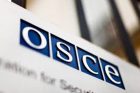 ОБСЕ готова к реализации совместной декларации: генсек организации о вашингтонском саммите