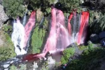 Gender Party на территории водопада Шаки: Министерство призывает соблюдать установленные законодательные требования