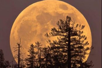 6 и 7 октября будет видна одна из самых красивых лун года — первое осеннее суперлуние