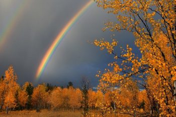 Погода в Армении