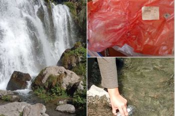 Новые подробности о скандале с gender-party на водопаде Шаки в Армении: нарушитель обнаружен