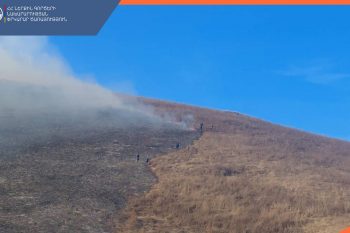 В трех областях Армении продолжают гореть леса: спасательная служба отчиталась