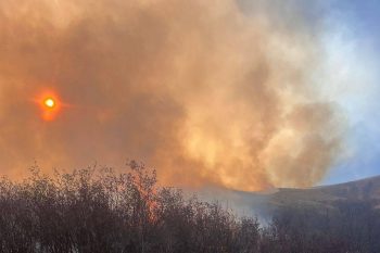 Когда я смотрел на это территории после  тушения пожара, у меня на глаза наворачивались слезы; птицы смотрели туда, где были их гнезда, птенцы. Сгорели пастбища», — руководитель Семеновки