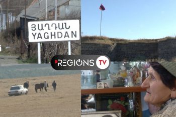 Лори Берд: проблемы и реализованные проекты