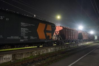 Импортированная в Армению из Казахстана и России пшеница прошла экспертизу