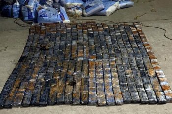 В Армении пресечена попытка транзита 161 кг героина, задержан гражданин Турции