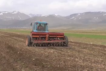 Геворк Папоян: С 15 февраля возобновляется программа страхования сельского хозяйства