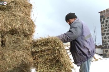 Сельчанин остался наедине со своими проблемами: тревожный сигнал из Норашена