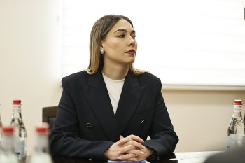 «А что должно было сделать правительство, чтобы казалось, что оно небезразлично ко всему, что происходит за пределами границ РА?» Галян