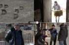 Упадок животноводства: почему в Армении уменьшается поголовье крупного рогатого скота