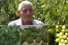 Целая жизнь с землей: воспоминания деда Вазгена и проблемы, постоянно сопровождающие земледельца