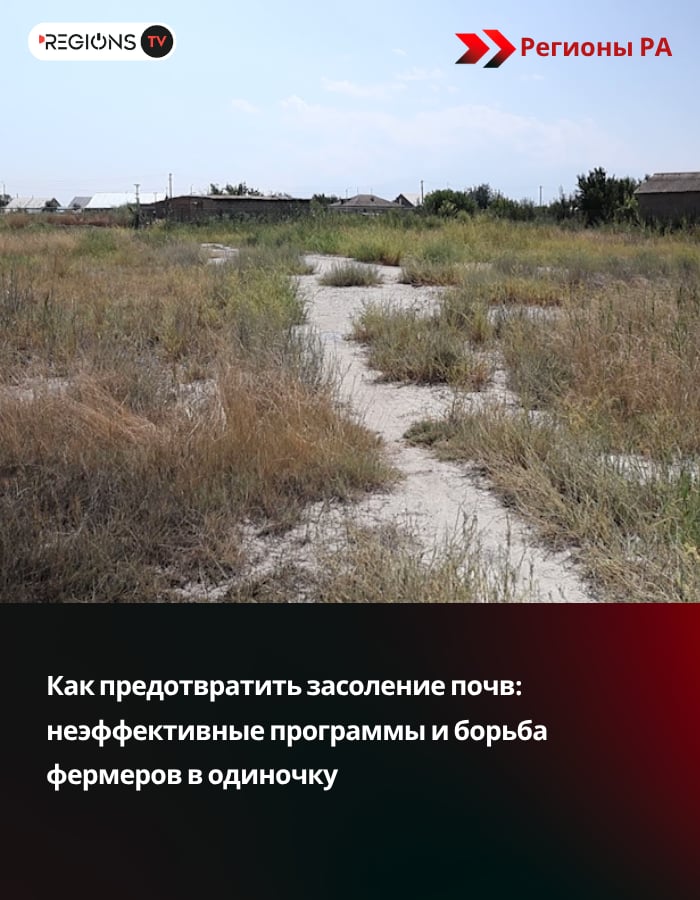 Как предотвратить засоление почв: неэффективные программы и борьба фермеров в одиночку