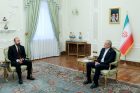Мирзоян представил Пезешкиану ход реализации проекта TRIPP