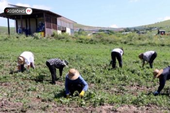 Գյուղատնտեսական կոոպերատիվ՝ սահմանամերձ գյուղում