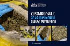 450 միլիոն դրամի թմրամիջոցը Հայաստանում իրացնելու փորձը կանխվել է