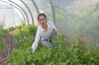 Շաղատի «բիզնես լեդին»․Շահանե Համբարձումյանն իր աշխատանքով ու ակտիվությամբ ոգևորում է համագյուղացիներին