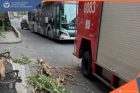 Երևանում ուժեղ քամուց ծառը կոտրվել,  ընկել է քաղաքացու վրա