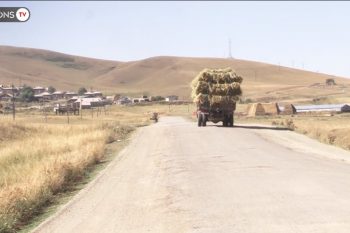 Շիրակի մարզի գյուղերում սեր չկա՞․ ինչու տղաները չեն ամուսնանում