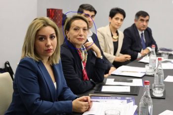 «Էֆենդիևայի վարքագծին ծանոթ եմ ոչ միայն Լաչինի միջանցքի շրջափակումից հետո, այլև՝ դրանից առաջ»․Նավասարդյանը մանրամասնում է, թե ինչ են քննարկել ադրբեջանցիների հետ աղմուկ հանած հանդիպմանը