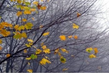 Հյուսիս-արևմուտքից ցուրտ ճակատի անցմամբ պայմանավորված լեռնային շրջաններում կտեղա առաջին ձյունը