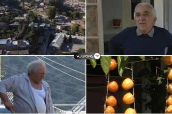 Բերքատու այգիները՝ գյուղի տնտեսական հենասյուն․ ի՞նչ պահանջարկ ունի Լեհվազի արևահամ միրգն ու չիրը