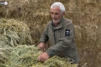 «Առողջ կայնուգ իմ»․ ինչպե՞ս է սիզավետցի 75-ամյա Հենրիկ պապը ղեկավարում իր մեծ տնտեսությունը