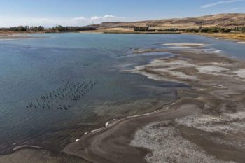 Վանա լիճը պայքարում է երաշտի դեմ