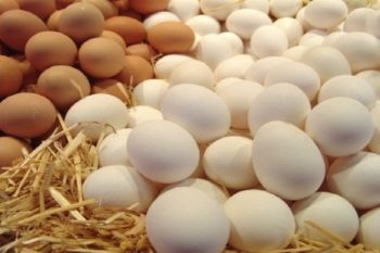 Սուրբ Զատկի տոնին ընդառաջ ՍԱՏՄ-ն իրականացրել է վերահսկողություն ձվի արտադրության և իրացման շուկայում. ինչ խախտումներ են հայտնաբերվել