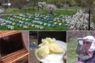 «Ապրելու եմ 120-130 տարի»․ Մեղվաբույծ Հրահատի ներդաշնակ կյանքը բնության հետ և բուժիչ մեղրի գաղտնիքը
