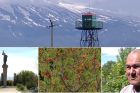 Գետաշեն․ Սահմանամերձ գյուղի առօրյան, խնդիրներն ու լավ բերքի ակնկալիքը