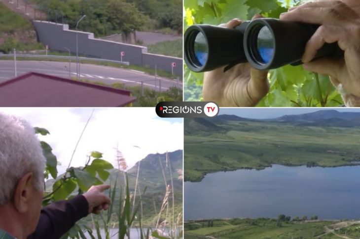 Խաղաղություն սահմանին, անմշակ այգիներ հենակետերի կողքին