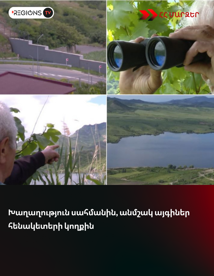Խաղաղություն սահմանին, անմշակ այգիներ հենակետերի կողքին