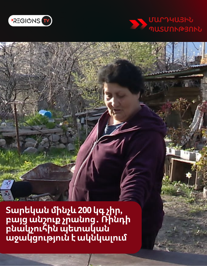 Տարեկան մինչև 200 կգ չիր, բայց անշուք չրանոց․ Ռինդի բնակչուհին պետական աջակցություն է ակնկալում
