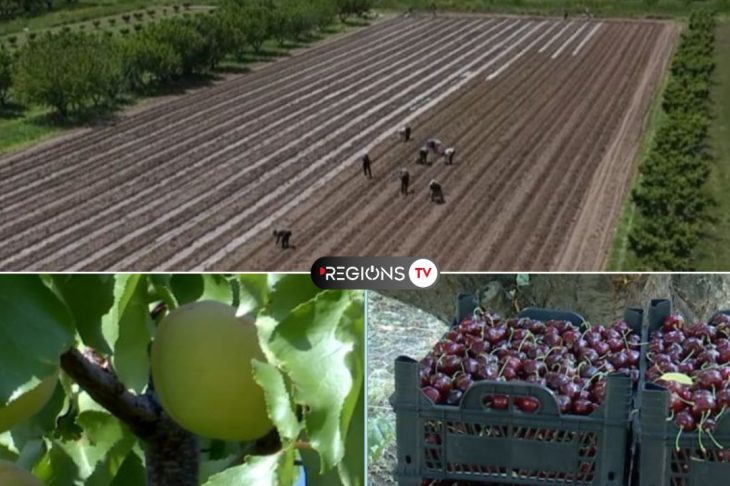 Ինչպե՞ս է գյուղացին հաղթահարելու արտահանման ճգնաժամը և ի՞նչ է առաջարկում պետությունը վնասներ կրած գյուղատնտեսներին