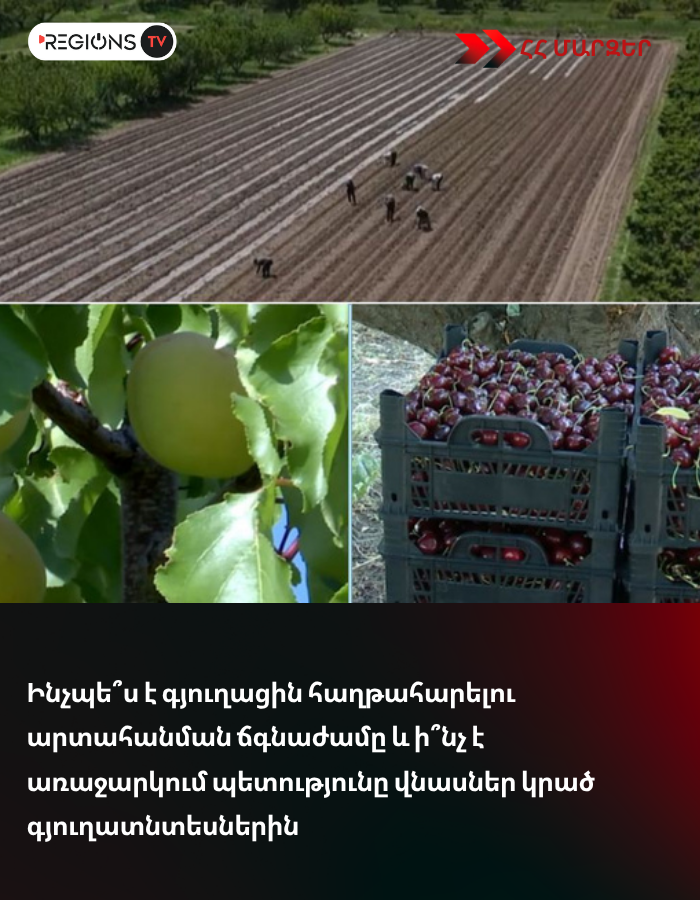 Ինչպե՞ս է գյուղացին հաղթահարելու արտահանման ճգնաժամը և ի՞նչ է առաջարկում պետությունը վնասներ կրած գյուղատնտեսներին