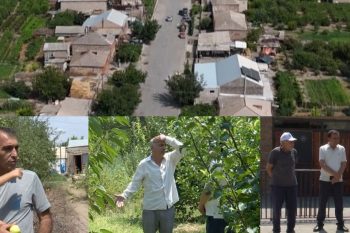 Ծիրան չկա, դեղձն էժան է, սալորը չի վաճառվում․ ինչո՞ւ է արմավիրցի այգեգործը հայտնվել անորոշության մեջ