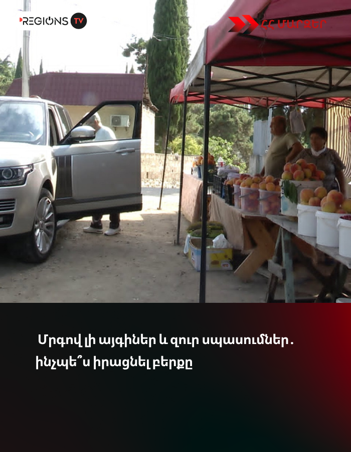 Մրգով լի այգիներ և զուր սպասումներ․ ինչպե՞ս իրացնել բերքը