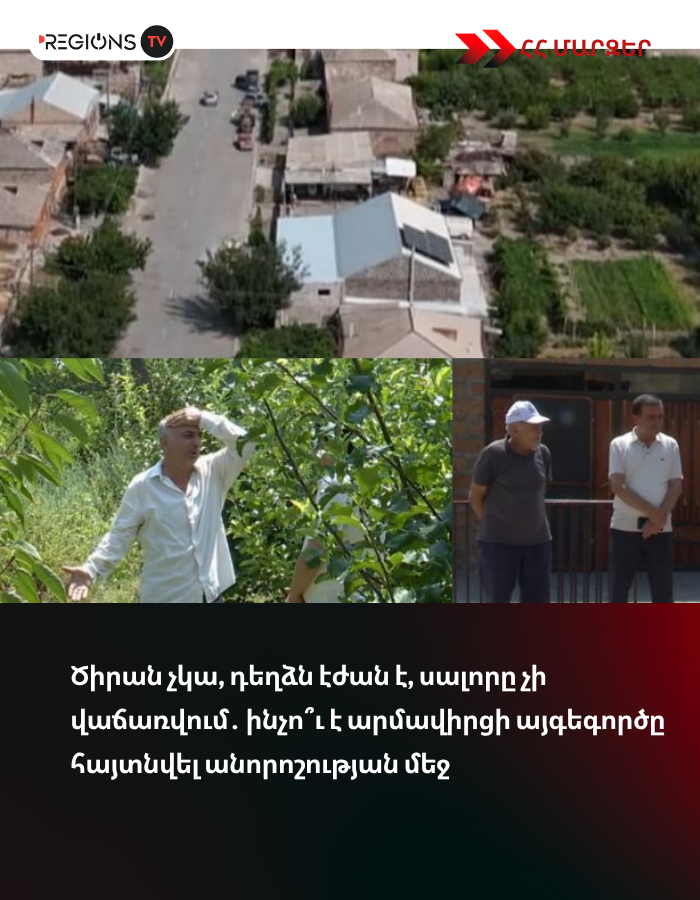 Ծիրան չկա, դեղձն էժան է, սալորը չի վաճառվում․ ինչո՞ւ է արմավիրցի այգեգործը հայտնվել անորոշության մեջ