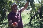 «Քաղաքում ասես վանդակի մեջ լինեմ, գյուղում շունչս բացվում է»․ ինչպե՞ս չհանձնվել՝ սիրելով և պարապ չթողնելով հողը