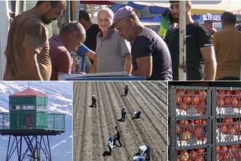 Նոր շուկա՞, թե՞ նոր մրցակցություն հայ գյուղացու համար․ ի՞նչ կփոխի հայ-թուրքական սահմանի բացումը