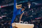 World Challenge Cup. Համլետ Մանուկյանը՝ ոսկե, Արթուր Ավետիսյանը՝ արծաթե մեդալակիր