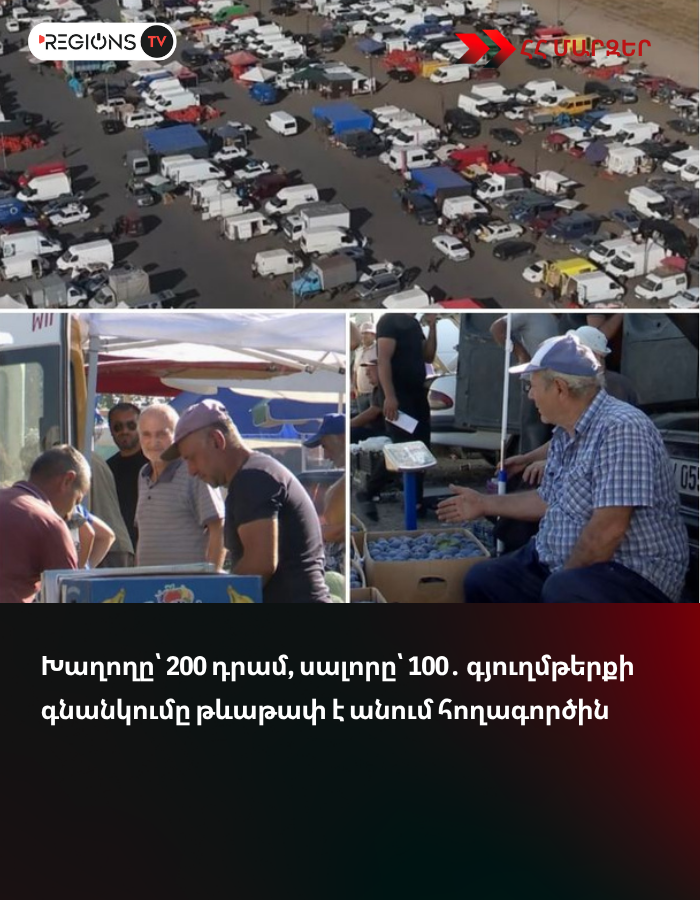 Խաղողը՝ 200 դրամ, սալորը՝ 100․ գյուղմթերքի գնանկումը թևաթափ է անում հողագործին