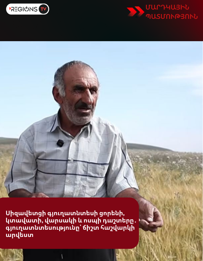 Սիզավետցի գյուղատնտեսի ցորենի, կտավատի, վարսակի և ոսպի դաշտերը․ գյուղատնտեսությունը՝ ճիշտ հաշվարկի արվեստ