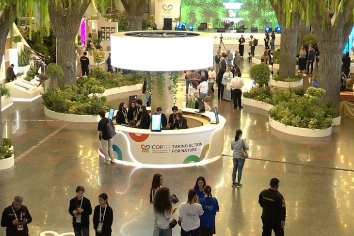 «Երգն ու բնությունը»․ COP 17-ի Կանաչ գոտու առաջին օրը