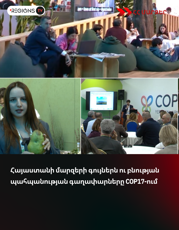 Հայաստանի մարզերի գույներն ու բնության պահպանության գաղափարները COP17-ում